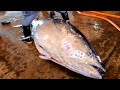 300 kg Bluefin Tuna Cut Perfectly right now in 3 minutes