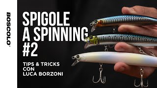 SPIGOLE A SPINNING #2 - Tips &amp; Tricks con Luca Borzoni