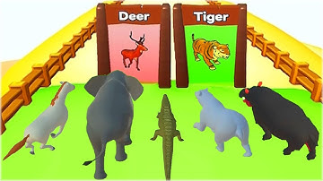 Animal Transform Race - Animals Run Gameplay Part 3 All Animal Unlocked