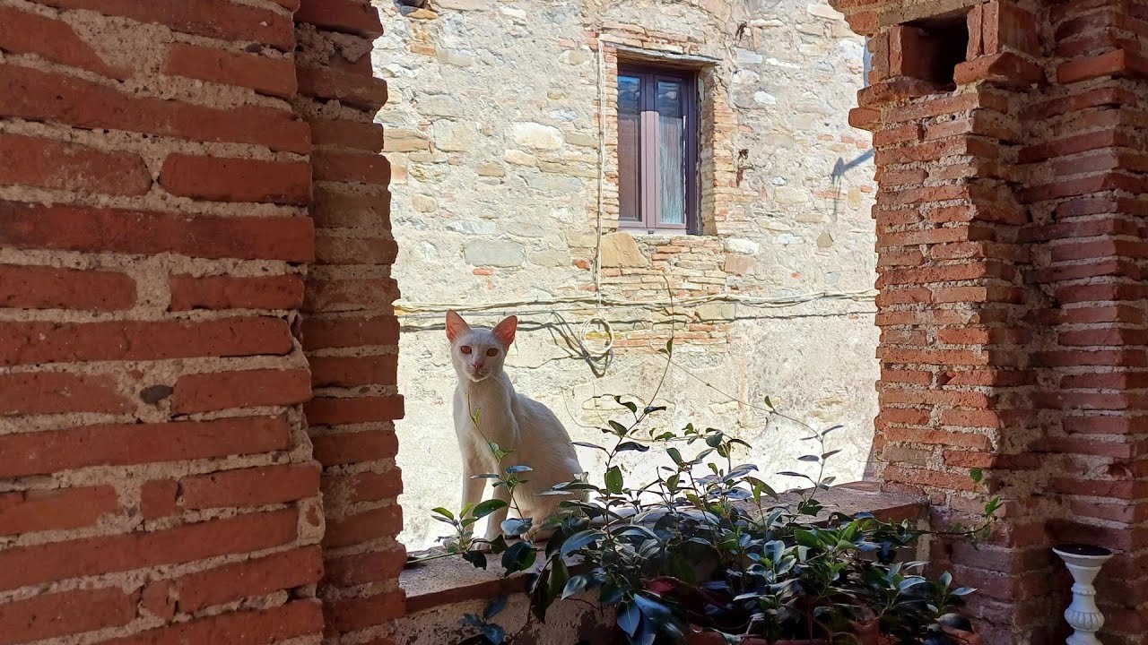 10 Borghi della Basilicata