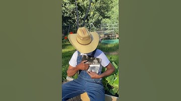 Thumbnail of Hey grandma, who is this white man in our family? #FarmFriday