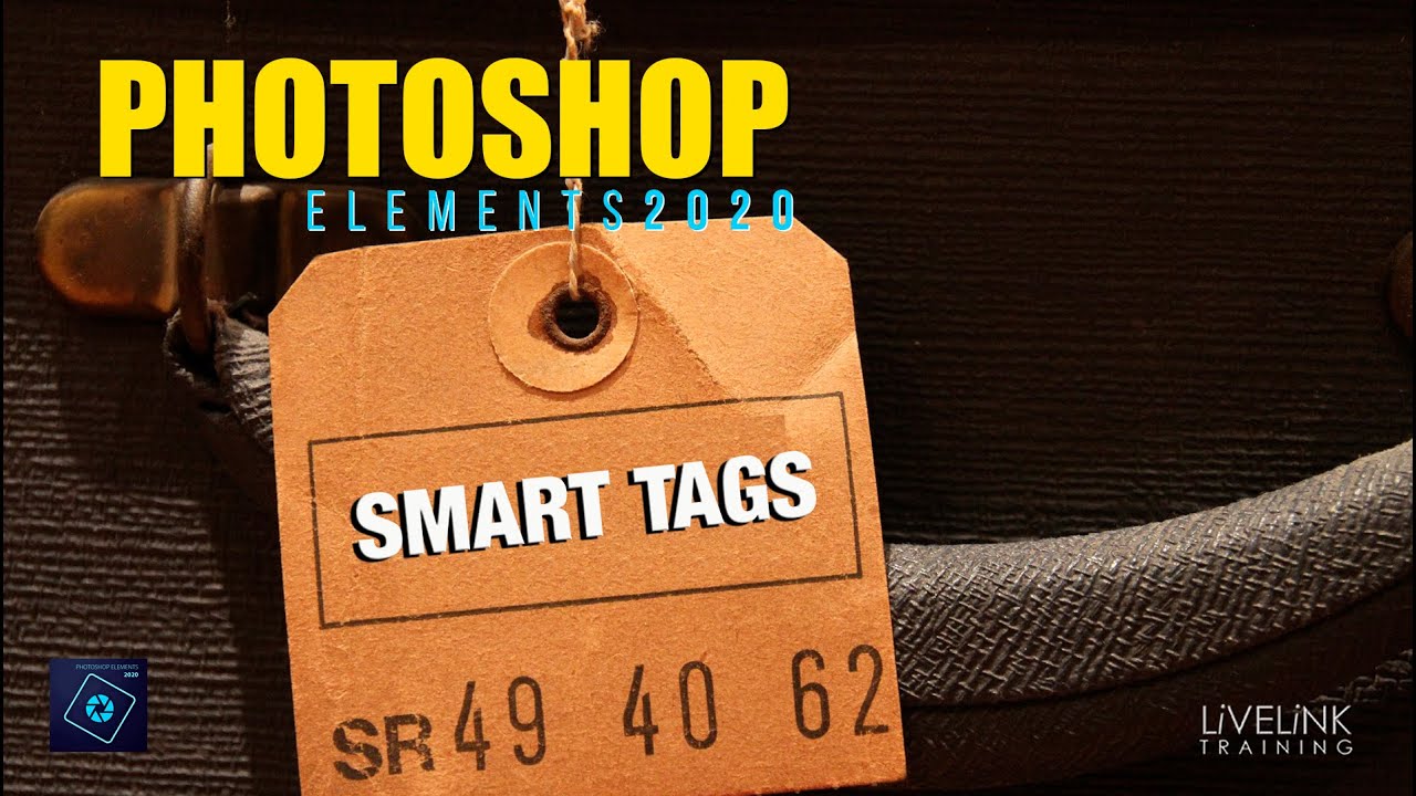 photoshop elements 2022 release date photoshop elements 2022 release date