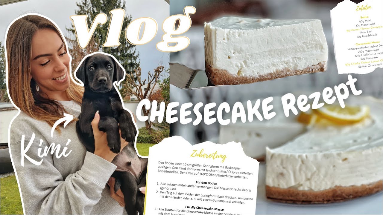 Healthy CHEESECAKE Rezept & meet Baby Dog Kimi // herstory VLOG