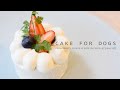 犬用手作りケーキ【愛犬の誕生日に】| Cake for Dogs