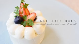 犬用手作りケーキ【愛犬の誕生日に】| Cake for Dogs
