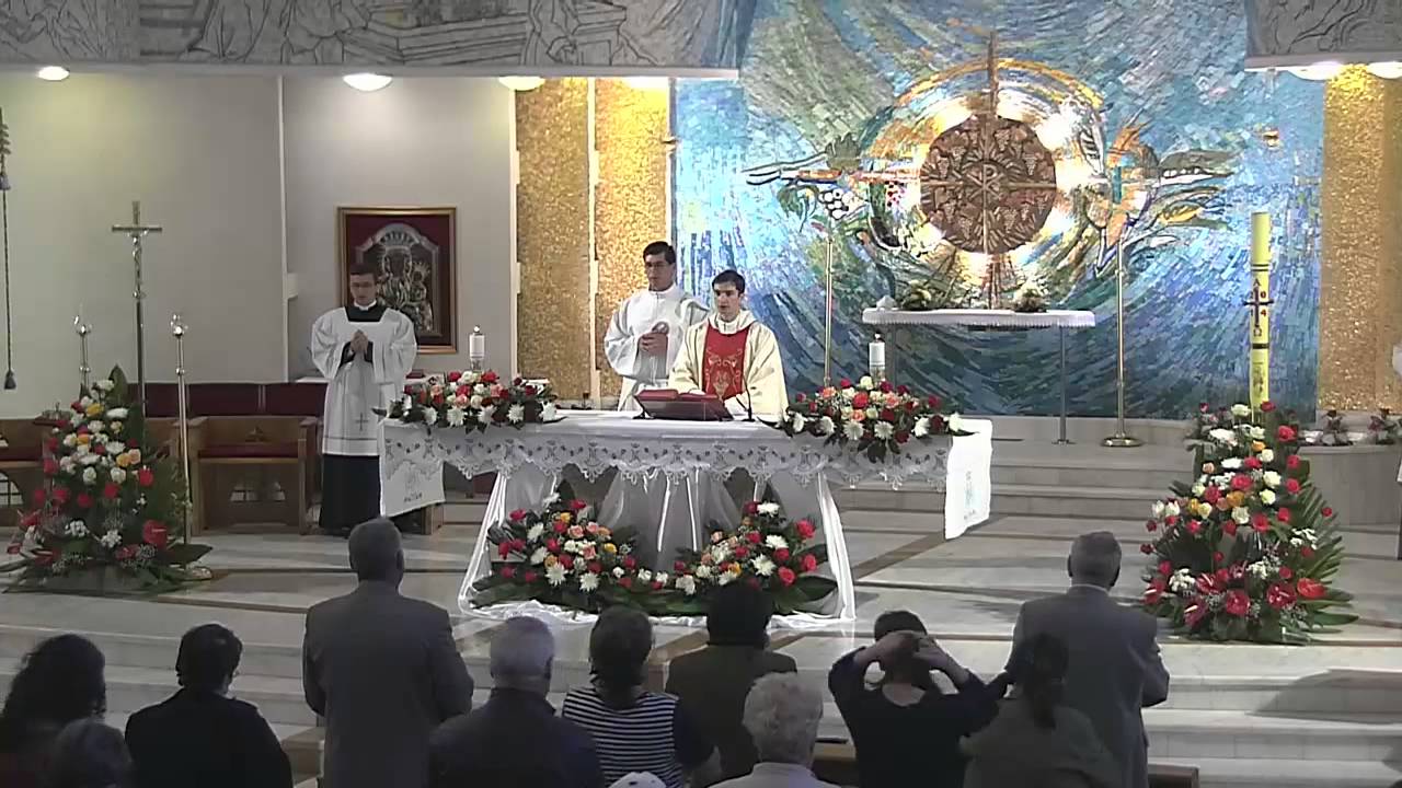 Iasi (catedrala): Sfanta Liturghie din Duminica a VII-a a Paştelui (1 iunie 2014) defensa y justicia