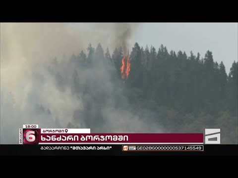 ლიკანში ბორჯომ-ხარაგაულის ტყე-პარკი იწვის