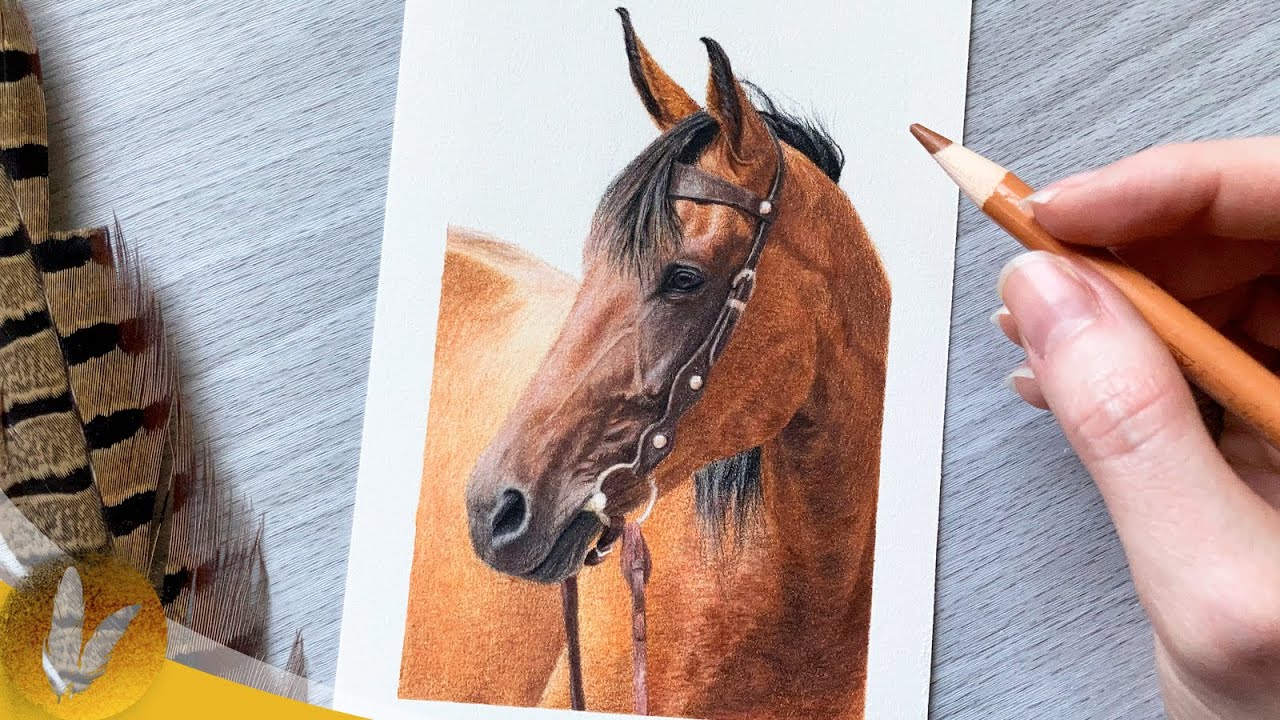 Drawing A Horse With Colored Pencils Colored Pencil Tutorial For