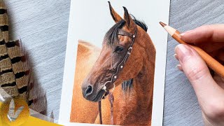 Drawing A Horse With Colored Pencils | Colored Pencil Tutorial For Beginners
