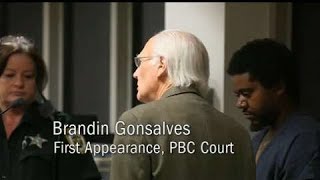 Man accused of stabbing his brother 69 times appears in court