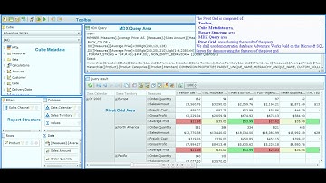 Ranet OLAP for Silverlight Demo