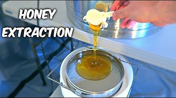 Harvest Honey - Part 2