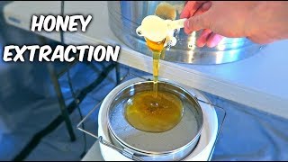 Harvest Honey - Part 2