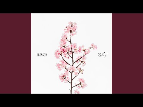 Blossom