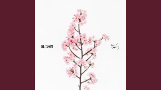 Blossom