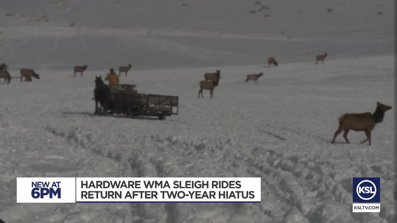 Hardware Ranch Sleigh Rides Hardware WMA sleigh rides return after two-year hiatus - YouTube