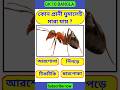কোন প্রানী ঘুমালেই মারা যায় ? Bangla Gk shorts | Bengali Gk shorts | Bangla Gk shorts video | Gk 79
