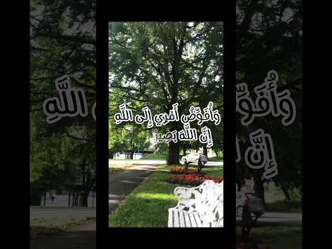 و أ ف و ض أ م ر ي إ ل ى الل ه إ ن الل ه ب ص ير ب ال ع ب اد الشيخ ماهر المعيقلي Shorts