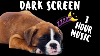 1h Super Deep Sleep Music 😴 For Dogs Adults and Babies 🌙 Dark Screen Healing Music 🎵 [No Piano]