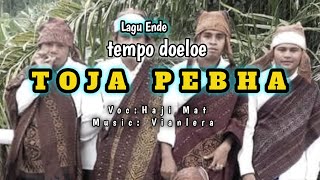 TOJA PEBHA LAGU ENDE TEMPO DULU HAJI MAT DAPUR MUSIK SPESIAL SELENDANG WANDA PA.U VIANLERA OFFICIAL