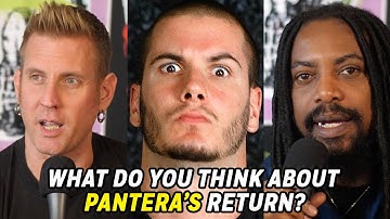 Rockers React to Pantera