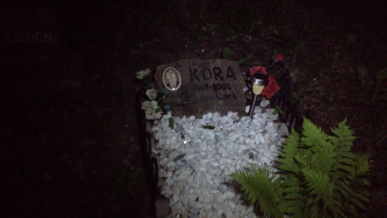 kamala harris Getting LOST in a Pet Cemetery AT NIGHT!!!! St.Anicet/Beauharnois, Quebec
