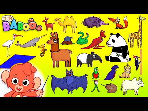 Animal ABC | Learn the Alphabet with 26 CARTOON ANIMALS for kids | ABCD Wild Animals and Sounds 4K