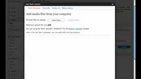 ¿Cómo añadir contenido o video flash en WordPress?