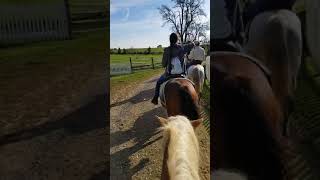 Horseback Riding In Gettysburg Through The Battlefield