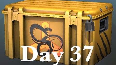 Opening a CS:GO snakebite case until I get a gloves #37