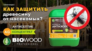 Обзор антисептик Антижук BIOWOOD AG . Препарат для защиты от насекомых, поражающих древесину