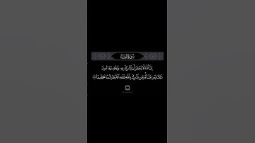 الشيخ ياسر الدوسري سورة النساء