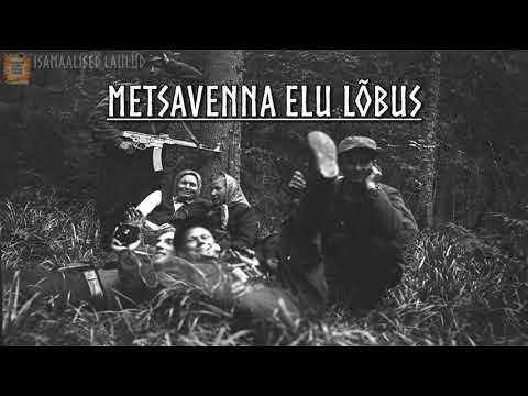 Video: Lõbus Elu 