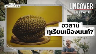 เมื่อ ทุเรียนนนท์ กำลังจะถึงคราวอวสาน | UNCOVER: Our House is on Fire #3 | THE STANDARD