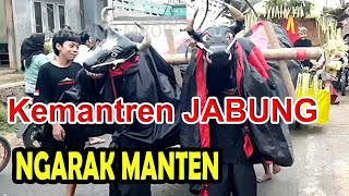 KIRAB BANTENGAN JABUNG | BANTENGAN PUTRA GEDUNG TUA - BANTENGAN PUTRA UMBARAN - DEWO NOGO (Part 2)
