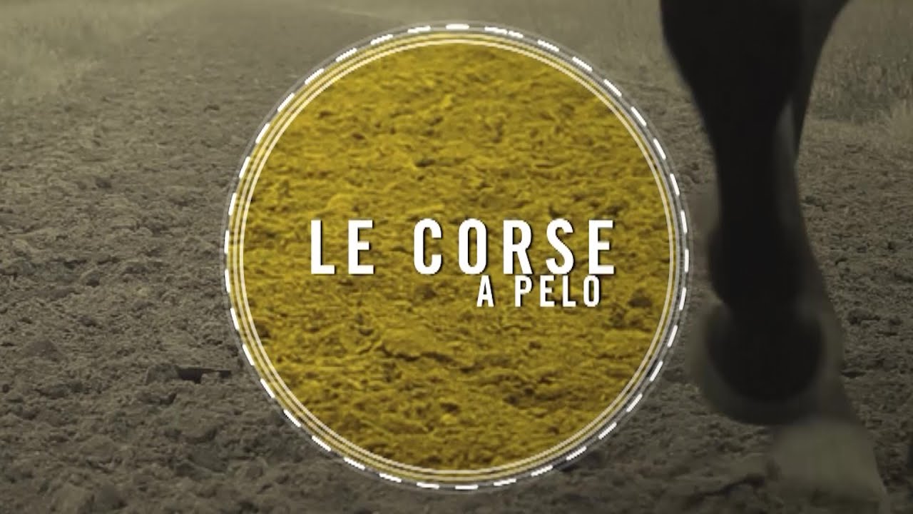 CORSE A PELO  - MOCIANO 29-03-2023