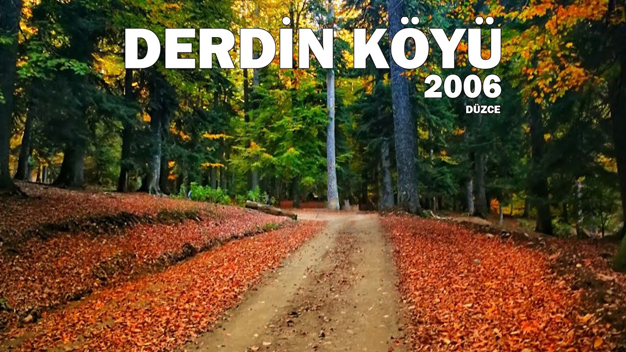 Derdin Köyü / Düzce (2006)