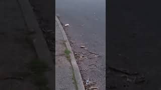 Welcome To St Anns Nottingham .Part 1