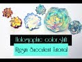 Iridescent  color shift resin succulent tutorial