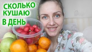 сколько ем в день? Апрель. Мое сыроедение сколько ем в день? Апрель. Мое сыроедение