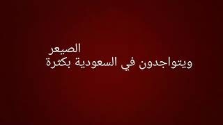 اكبر قبائل كندة      ادخل الوصف لتعرف اكثر.