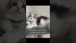 Kızımın Adı Burdan Geliyo