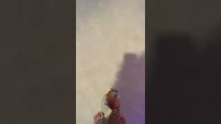 My Cousin Mocs To Socks To Barefoot