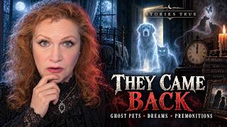 They Came Back: True Stories of Ghost Pets, Premonitions & Dreams That Came True