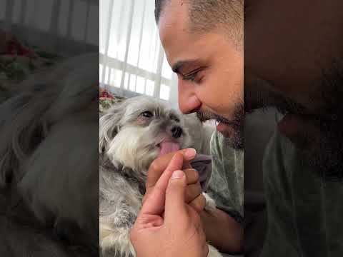 علاقتك بكلبك فالناس تشك فيكوا ZiadRahal RahalAcademy الإمارات PetTips واجمدي و قولي جمدت