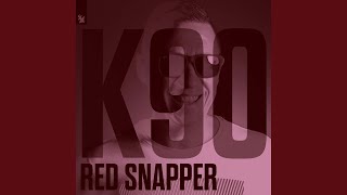 Red Snapper (Allen &amp; Envy Extended Rework)