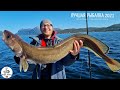 30 КГ РЫБЫ!ЛУЧШАЯ РЫБАЛКА 2021! В ГОСТЯХ У WOW FISHING! Трофейная РЫБАЛКА с Лодки!Рыбалка в Норвегии