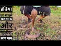 इंडिया का सबसे खतरनाक और जहरीला सांप नाग / Rescue Indian spectacled Cobra snake (khokhar gaon)