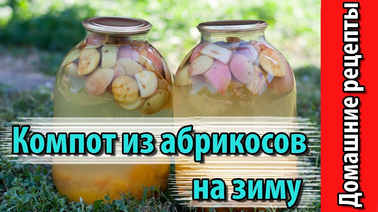 Готовим любимый и вкусный компот из абрикосов рецепт с фото Готовим любимый и вкусный компот из абрикосов рецепт с фото