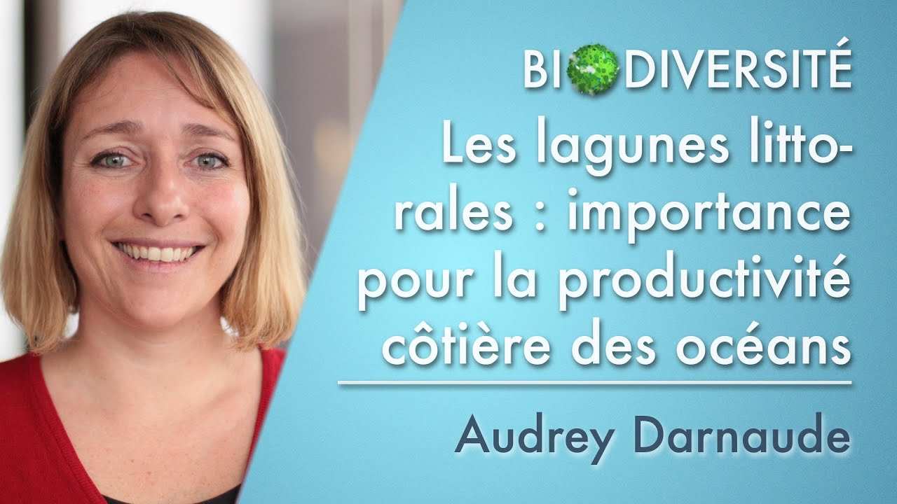 Les lagunes littorales : importance pour la productivité côtière des océans